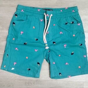 Turquoise Drawstring Shorts